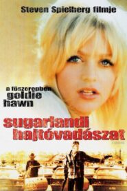 Sugarlandi hajtóvadászat