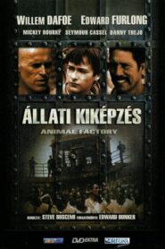 Állati kiképzés