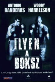 Ilyen a boksz