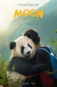 Moon, a panda