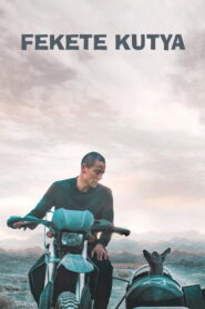 Fekete kutya