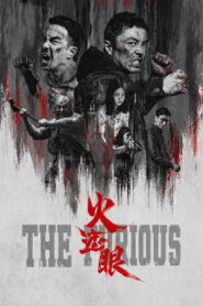 The Furious