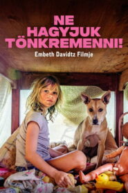 Ne hagyjuk tönkremenni!