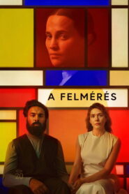 A felmérés