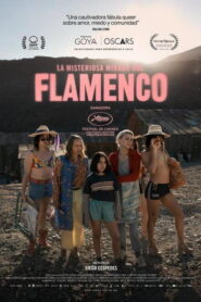 A flamingó titokzatos pillantása